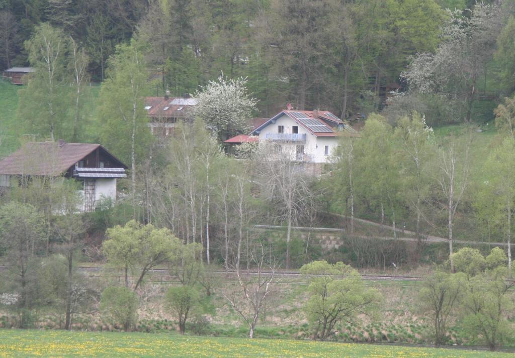 Ferienwohnung Regentalblick Miltach Εξωτερικό φωτογραφία